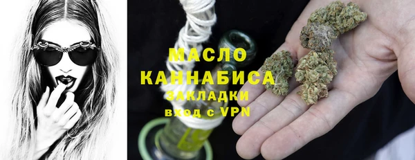 мдпв Каменка