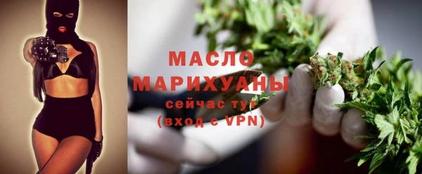 мдпв Каменка