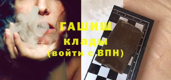 мдпв Каменка