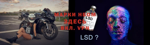 мет Касимов