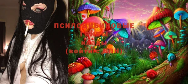соль ск Карталы