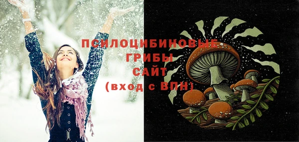 амф Карпинск