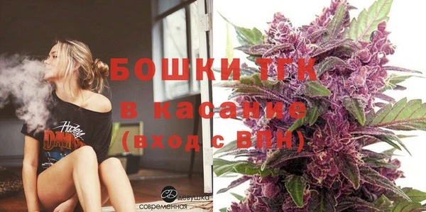 мдпв Каменка