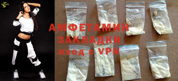 мдпв Каменка