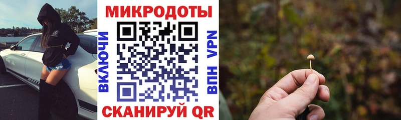 наркотики  Карталы  Галлюциногенные грибы Cubensis 